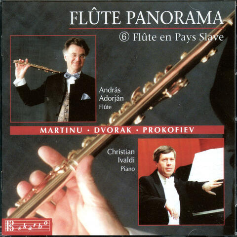 Flute Panorama