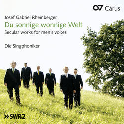 Aus dem Sangerleben, Op. 85, Aus dem Sangerleben, Op. 85: No. 3. Wandernde Musikanten