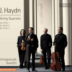 String Quartet No. 25 in C Major, Op. 20, No. 2, Hob.III:32, String Quartet No. 25 in C Major, Op. 20, No. 2, Hob.III:32: II. Capriccio: Adagio