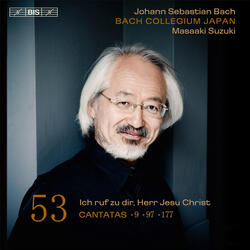 Es ist das Heil uns kommen her, BWV 9, Es ist das Heil uns kommen her, BWV 9: Aria: Wir waren schon zu tief gesunken (Tenor)