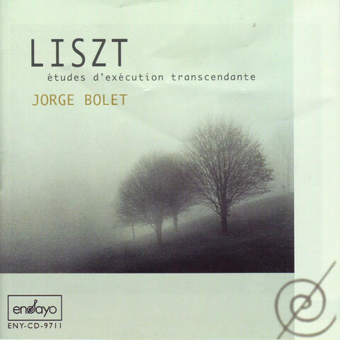 Liszt: Etudes d'execution transcendante