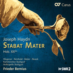 Stabat Mater, Hob. XXbis, Stabat Mater, Hob. XXbis: X. Virgo virginum præclara