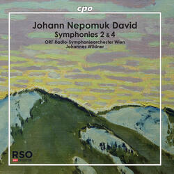 Symphony No. 2, Op. 20, Symphony No. 2, Op. 20: IV. Andante