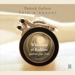 Flute Quartet in E Minor, Op. 103, Flute Quartet in E Minor, Op. 103: I. Andante maestoso - Allegro assai con molto fuoco