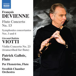 Flute Concerto No. 13 in D Major, Op. Posth., Flute Concerto No. 13 in D Major, Op. Posth.: II. Romance. Andante