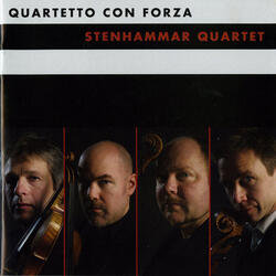String Quartet No. 1 "Sediments of Discourse", String Quartet No. 1 "Sediments of Discourse": II. Patterns