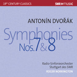 Symphony No. 8 in G Major, Op. 88, B. 163, Symphony No. 8 in G Major, Op. 88, B. 163: III. Allegretto grazioso - Molto vivace (Live)