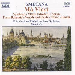 Má vlast (My Country), Má vlast (My Country): No. 2, Vltava [Moldau]