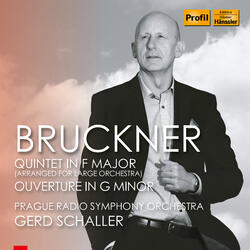 String Quintet in F Major, WAB 112 (Revised 1884 Version) [Arr. G. Schaller for Large Orchestra], String Quintet in F Major, WAB 112 (Revised 1884 Version) [Arr. G. Schaller for Large Orchestra]: III. Adagio