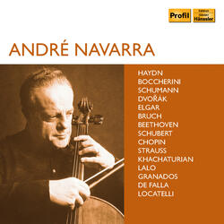 Cello Sonata in G Minor, Op. 65, Cello Sonata in G Minor, Op. 65: IV. Finale. Allegro