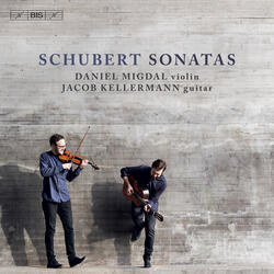 Sonata in A Minor, D. 821 "Arpeggione" (Arr. J. Kellermann for Violin & Guitar), Sonata in A Minor, D. 821 "Arpeggione" (Arr. J. Kellermann for Violin & Guitar): I. Allegro moderato