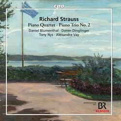 Piano Quartet in C Minor, Op. 13, TrV 137, Piano Quartet in C Minor, Op. 13, TrV 137: I. Allegro