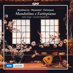 Mandolin Sonatina in C Major, WoO 44a