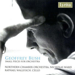 Psyche (Arr. G. Bush & F. Harvey for Orchestra), Psyche (Arr. G. Bush & F. Harvey for Orchestra): III. Finale