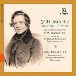 Kapitel 8, Kapitel 8: Rheinische Symphonie (1849-1851)