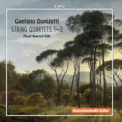 String Quartet No. 1 in E-Flat Major, String Quartet No. 1 in E-Flat Major: III. Minuetto. Presto