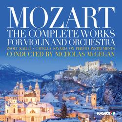 Violin Concerto No. 2 in D Major, K. 211, Violin Concerto No. 2 in D Major, K. 211: II. Andante