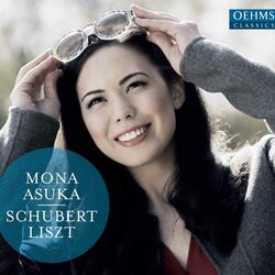 12 Lieder von Schubert, S. 558, 12 Lieder von Schubert, S. 558: No. 11, Der Wanderer