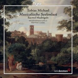 Musicalische Seelenlust, Pt. 1, Musicalische Seelenlust, Pt. 1: No. 11, Israel hat dennoch Gott zum Trost - Aber du setztest sie aufs Schlüpfrige