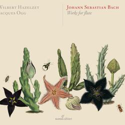 Organ Sonata No. 1 in E-Flat Major, BWV 525 (Arr. W. Hazelzet for Baroque Flute & Harpsichord), Organ Sonata No. 1 in E-Flat Major, BWV 525 (Arr. W. Hazelzet for Baroque Flute & Harpsichord): III. Allegro