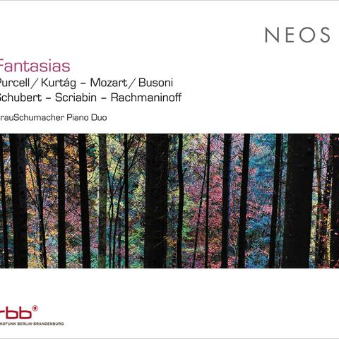 Fantasias