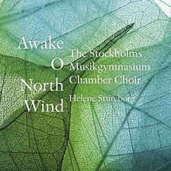 Bruremarsj fra Valsøyfjord (arr. G. Pedersen and H. Sommerro for choir), Bruremarsj fra Valsøyfjord (Arr. G. Pedersen & H. Sommerro for Choir)
