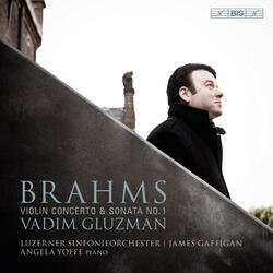 Violin Concerto in D Major, Op. 77, Violin Concerto in D Major, Op. 77: III. Allegro giocoso, ma non troppo vivace