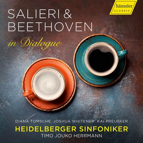Heidelberger Sinfoniker