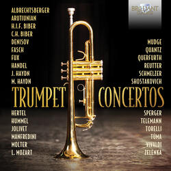 Concerto in D Major, TWV 53:D5, Concerto in D Major, TWV 53:D5: II. Adagio