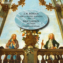 Flute Sonata No. 5 in E Minor, BeRI 205, Flute Sonata No. 5 in E Minor, BeRI 205: VII. —
