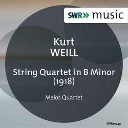 String Quartet in B Minor, String Quartet in B Minor: IV. Durchweg lustig und wild, aber nicht zu schnell