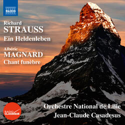 Ein Heldenleben, Op. 40, TrV 190, Des Helden Gefahrtin (The Hero's Companion)