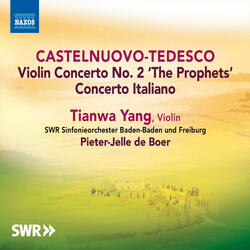 Violin Concerto No. 1 in G Minor, Op. 31 "Italiano", III. Vivo e impetuoso