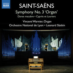 Symphony No. 3 in C Minor, Op. 78 "Organ Symphony", I. Poco adagio
