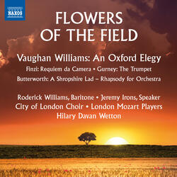 An Oxford Elegy