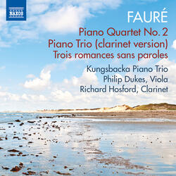 Piano Trio in D Minor, Op. 120, II. Andantino