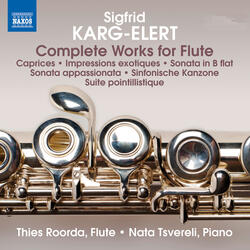 Flute Sonata in B-Flat Major, Op. 121, I. Idyllisch, nicht schleppend: Allegro amabile