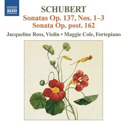 Violin Sonata (Sonatina) in A Minor, Op. 137, No. 2, D. 385, IV. Allegro