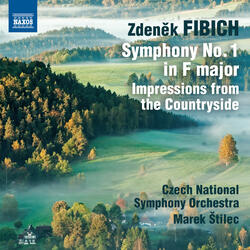 Impressions from the Countryside, Op. 54, IV. Fireside Talk (Na tackach)