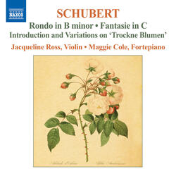 Introduction and Variations on Trockne Blumen from Die schone Mullerin, Op. 160, D. 802 (arr. for violin and piano), Variation 6