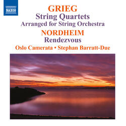 String Quartet in F Major, EG 117 (arr. A. Ardal for string orchestra), II. Allegro scherzando - Più vivo - Allegro scherzando