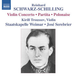 Violin Concerto, I. Ouverture: Poco sostenuto - Allegro vivo