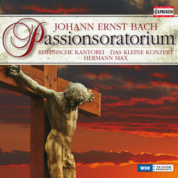 Passionsoratorium, Recitative: Er geht, und seine Tritte netzen Zahren (Bass)