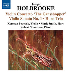 Violin Concerto in F Major, Op. 59, "The Grasshopper" (version for violin and piano as Violin Sonata No. 2), II. Adagio non troppo con molto espressione