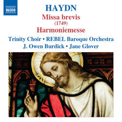 Mass No. 2 in F Major, Hob.XXII:1, "Missa brevis", Sanctus