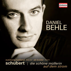Die schöne Müllerin, Op. 25, D. 795, No. 12. Pause