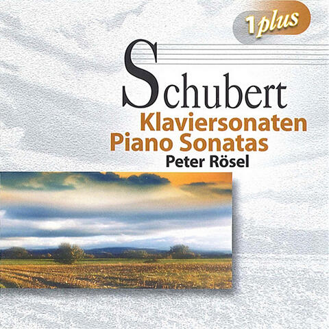 Schubert: Piano Sonatas