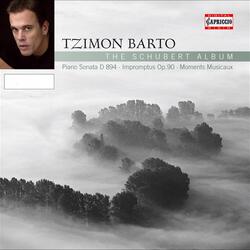 6 Moments musicaux, Op. 94, D. 780, No. 3 in F Minor: Allegro moderato