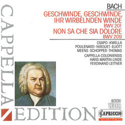Geschwinde, ihr wirbelnden Winde, BWV 201, Recitative: Nunmehro Richter her (Alto, Tenor)