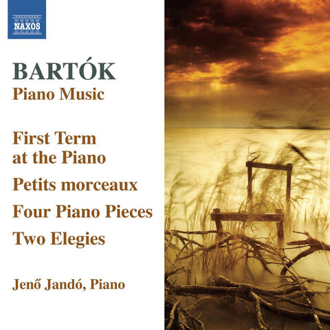 Bartók: Piano Music, Vol. 6